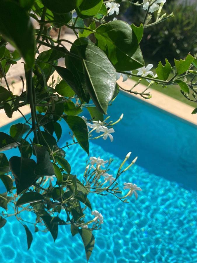 Beautiful Villa With Pool, Barbecue, And Garden Jávea Extérieur photo
